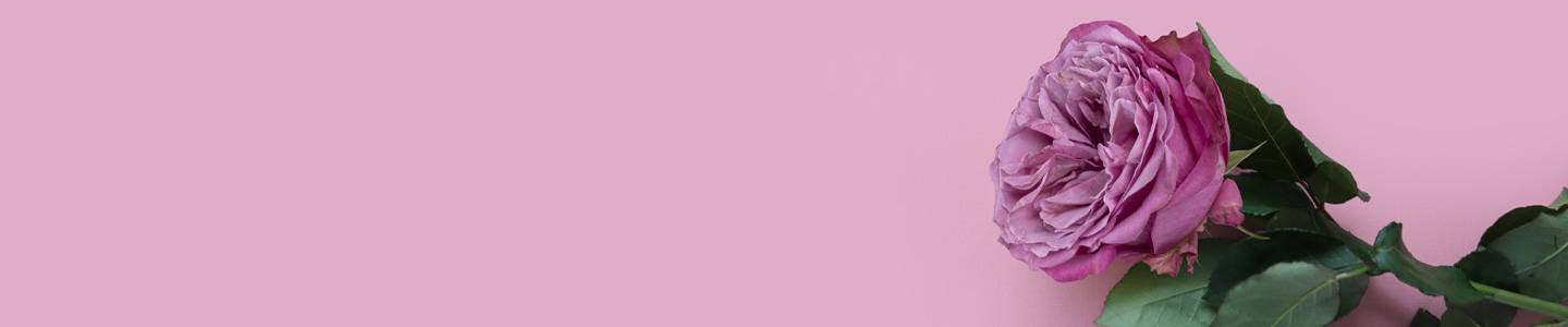 Premium roses Premium roses