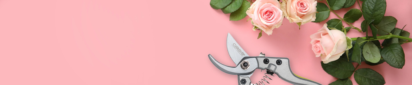 Accessories Accessories