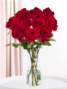 10 red roses - EverRed