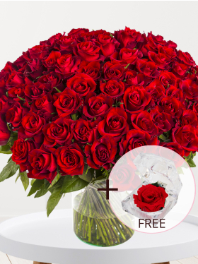 100 red roses - EverRed - Valentine's Day