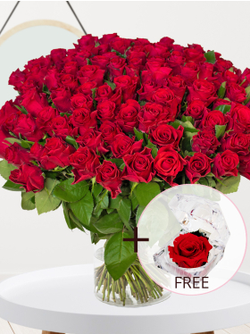 100 red roses - Red Tacazzi