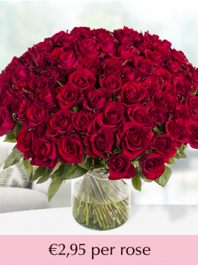 100 till 499 red roses - XL roses - EverRed