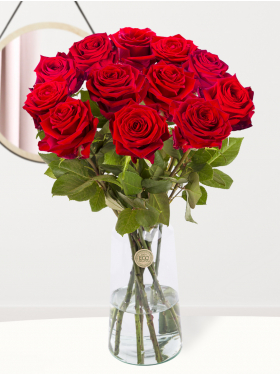 12 red roses - Red Naomi