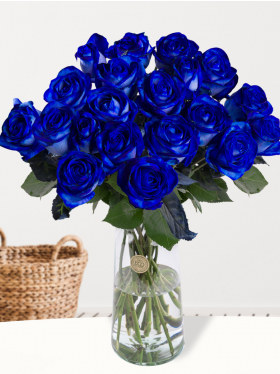 20 blue roses
