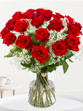 Red roses with gypsohila