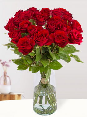 25 red roses - EverRed