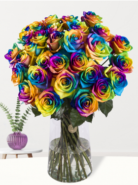30 rainbow roses