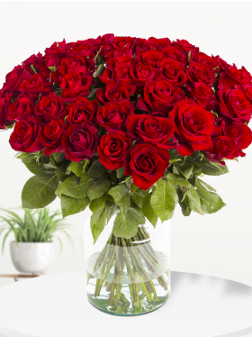 50 red roses