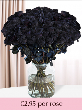 100 till 500 black roses