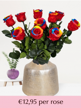 5 till 20 rainbow long life roses