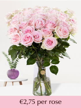 10 till 99 soft-pink roses