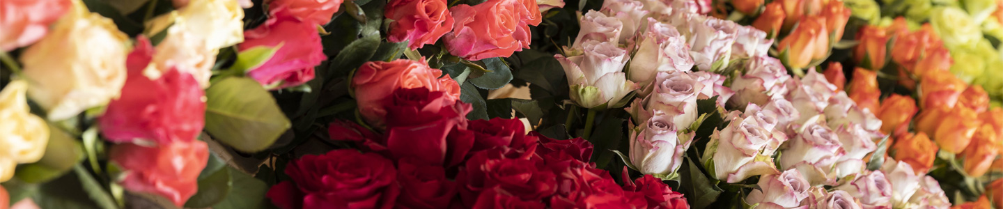 Colourful bouquets