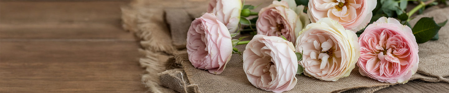 Counrty-style bouquets Counrty-style bouquets