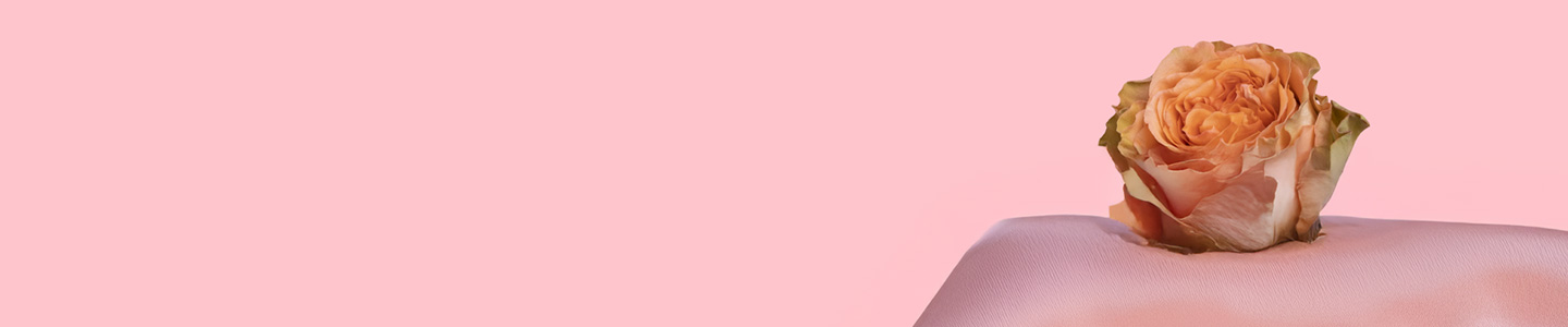 Rose variety: Country Home