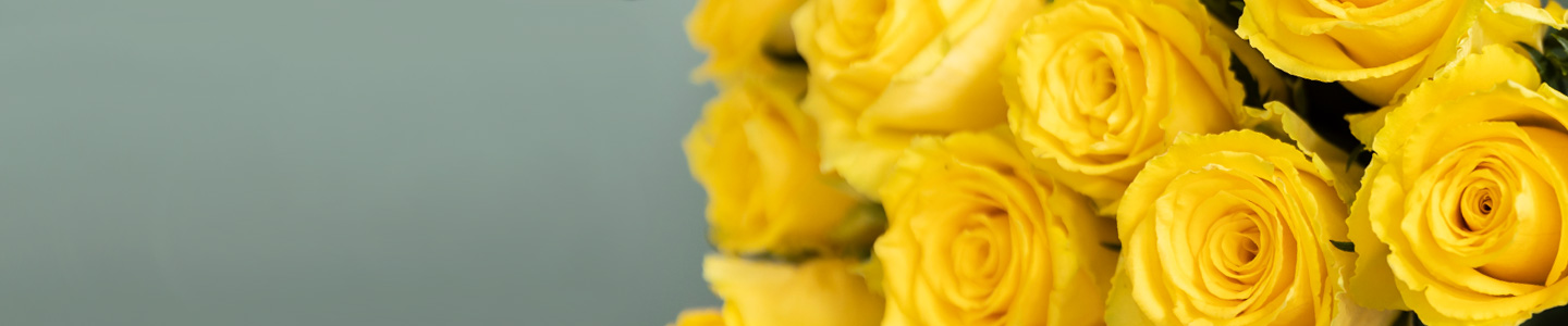 Rose variety: Good Times