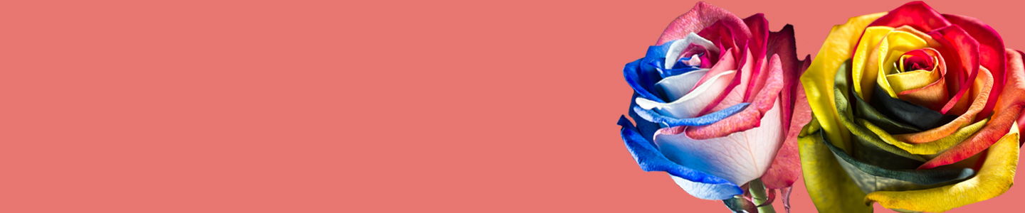 International rose delivery International rose delivery