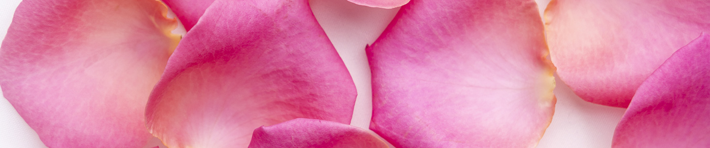 Scattering rose petals | DIY flower confetti