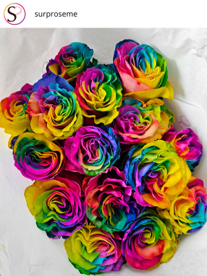 Instagram post - Rainbow roses Instagram post - Rainbow roses