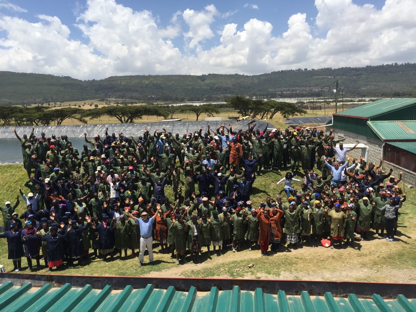 Rift Valley Roses Rift Valley Roses