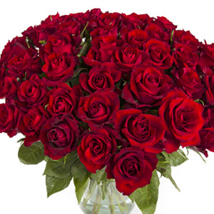 Bouquet of red roses Bouquet of red roses