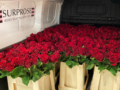 Order roses on account Order roses on account