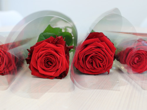 Order roses for graduation ceremony Order roses for graduation ceremony