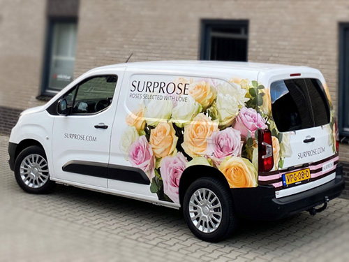 Get in contact with Surprose Get in contact with Surprose