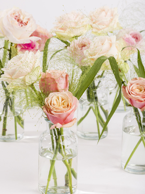 Centerpiece sets pastel plus