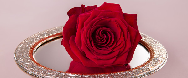 Classic bouquets Classic bouquets
