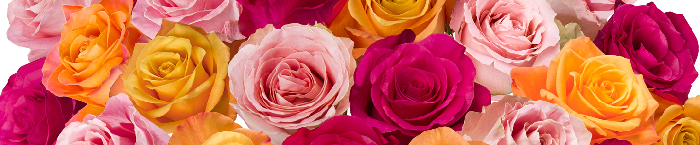 Colourful bouquet