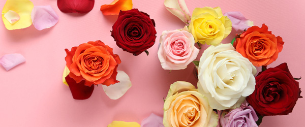 Colourful bouquets Colourful bouquets