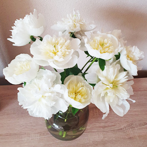 White peonies