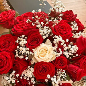 Red roses with 1 white rose
