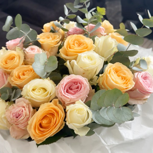 Avalanche rose mix Avalanche rose mix