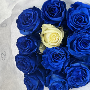 Blue rose bouquet with 1 white rose