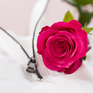 Blog: Facts about roses