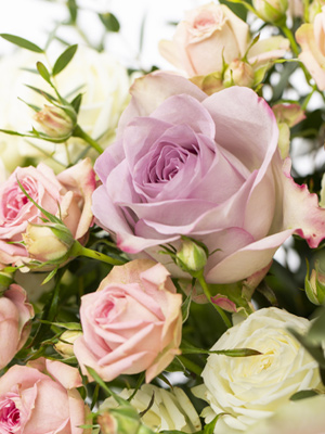 Modern rose bouquet Modern rose bouquet