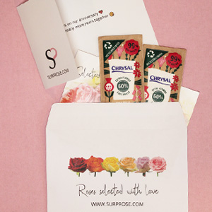 The greeting card The greeting card