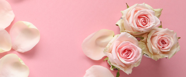 Minimalist bouquets Minimalist bouquets
