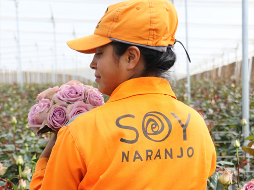 Our growers Our growers