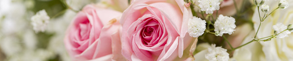 Order a rose bouquet