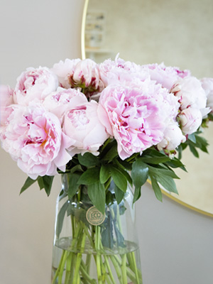 Roses in a vase Roses in a vase