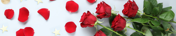 Red roses for Christmas