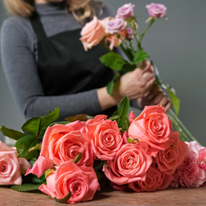 Rose care Rose care