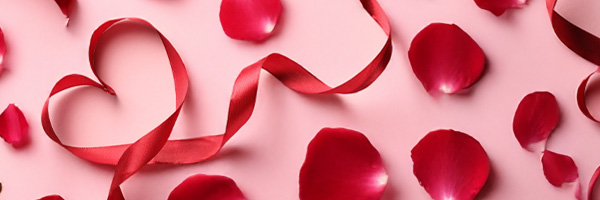 Red rose petals Red rose petals