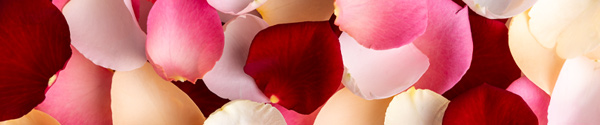 mixed-rose-petals mixed-rose-petals