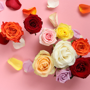 Symbolism rose colours