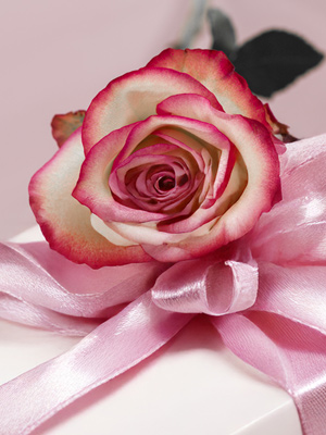 Roses for a birthday