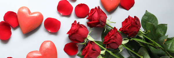 Roses for love Roses for love