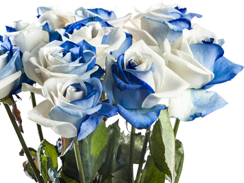 Order roses for your business Order roses for your business